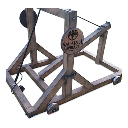 Custom Bean Bag Catapult