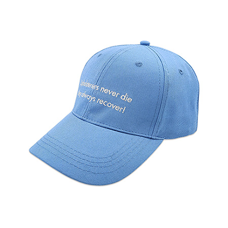 Embroidered Structured Hat