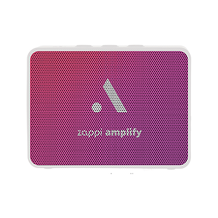 Screen Printed Portable Speaker
